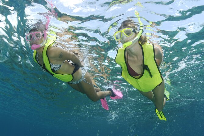 Nassau Shore Excursion: Bahamas Snorkel Adventure - Snorkeling Stops: What You’ll See Under the Water