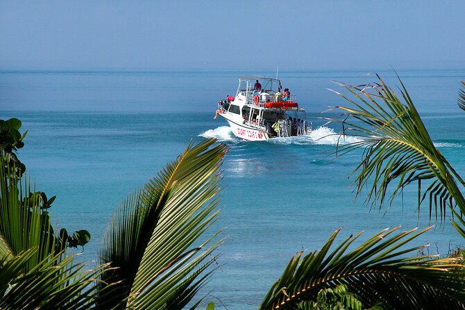 Nassau Shore Excursion: Bahamas Snorkel Adventure - Price and Value: Is $143.88 Worth It?