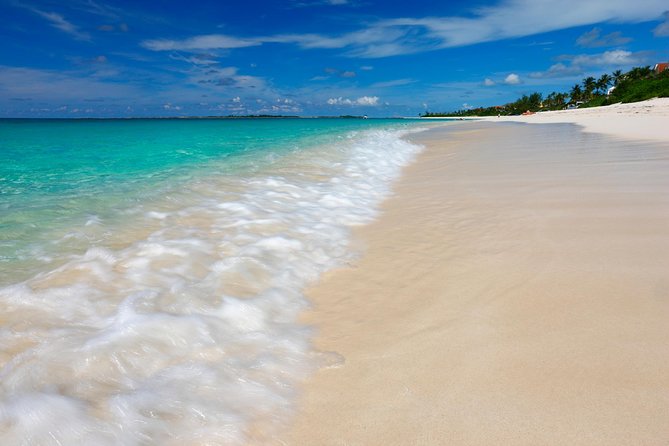 Nassau Shore Excursion: Sightseeing and Snorkeling Tour - Nassau Shore Excursion, Cruise-Day Edition