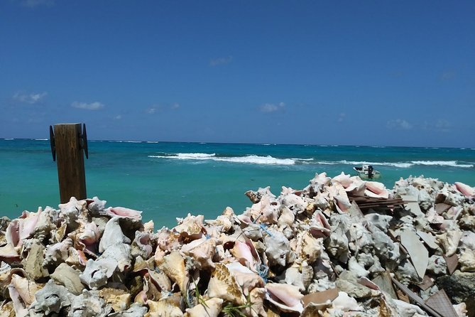 Nassau Shore Excursion: Sightseeing and Snorkeling Tour - New Providence Cave: Pirate-Lair Stories and Coastal Passing Views