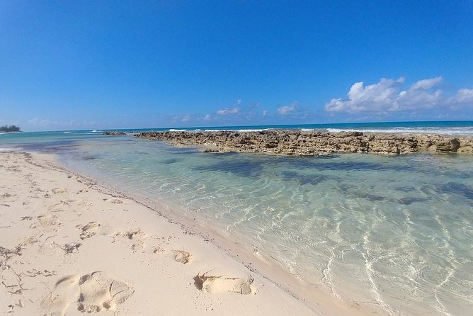Nassau Shore Excursion: Sightseeing and Snorkeling Tour - Getting Set: Pickup, the Van, and the Pace
