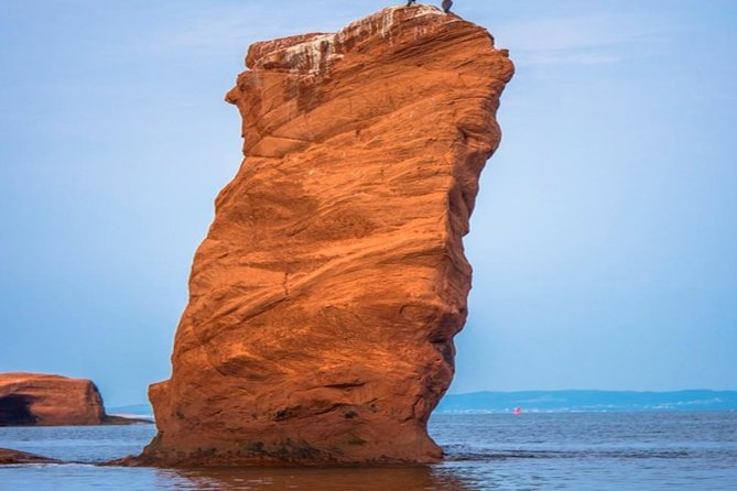New Brunswick Shore Excursion: Bay of Fundy and More Highlights Tour - Key Highlights Before You Go