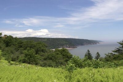 New Brunswick Shore Excursion: Bay of Fundy and More Highlights Tour - Price and Logistics: Why $168.11 Can Still Be Good Value