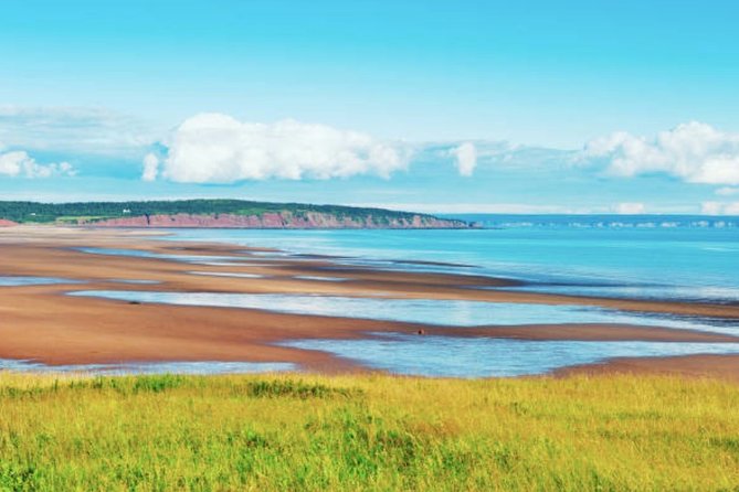 New Brunswick Shore Excursion: Bay of Fundy and More Highlights Tour - The Ride Out: Comfort, Noise, and How to Prep