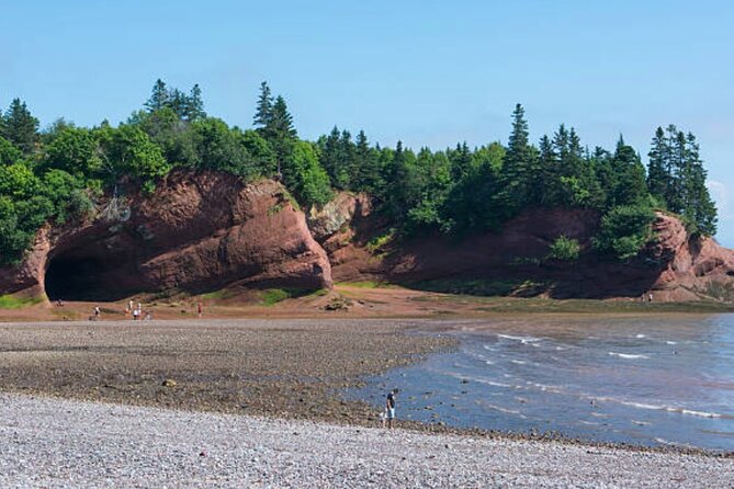 New Brunswick Shore Excursion: Bay of Fundy and More Highlights Tour - Guide Quality: When It Clicks, It’s a Great Day