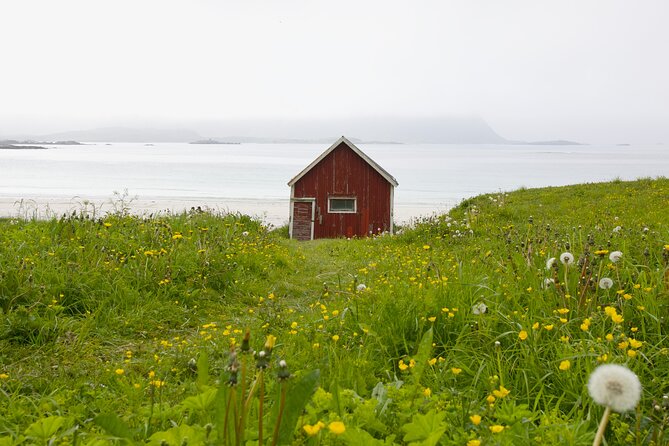 Norway Lofoten Private Shore Excursion from Leknes - Key highlights you’ll actually care about