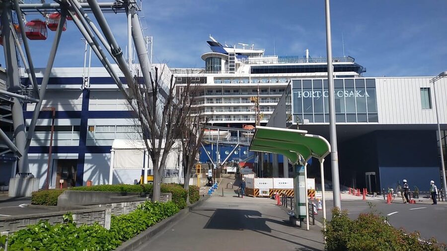Osaka: Private 4/5/6h Tour For Cruise Ship Passengers - Tempozan pickup: how this tour saves your cruise-day energy