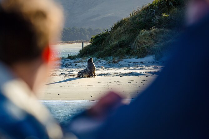Otago Harbour Wildlife Cruise (Dunedin Shore Excursion) - Otago Harbour: Bays, Islands, and Fishing-Village Scenery