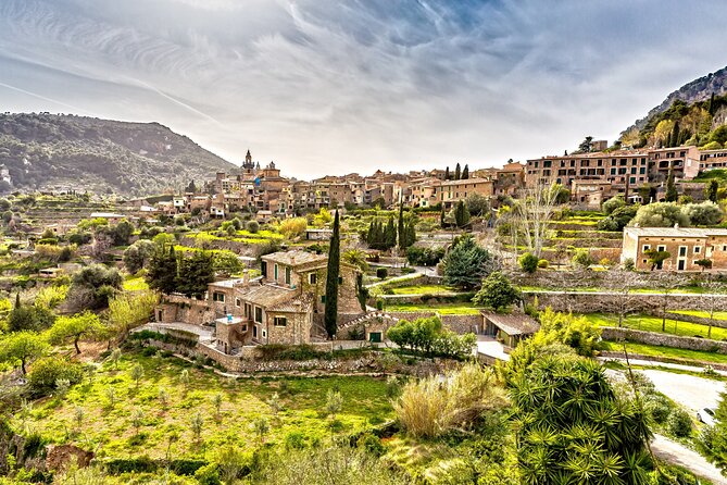 Palma de Mallorca and Valldemossa Excursion from Cruise Port - Key things I’d zero in on before booking