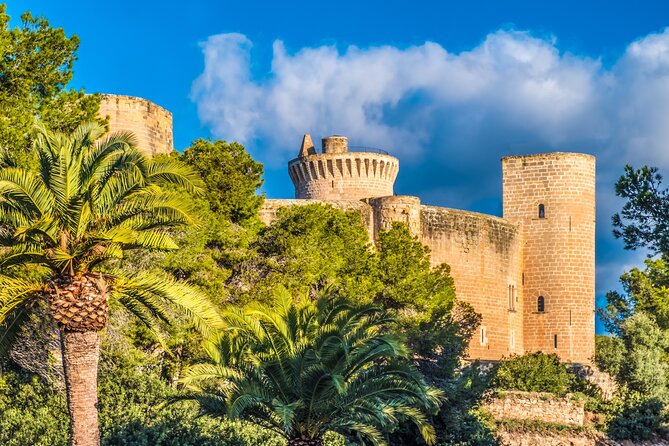 Palma de Mallorca and Valldemossa Excursion from Cruise Port - From the Cruise Terminal to Valldemossa in About 45 Minutes