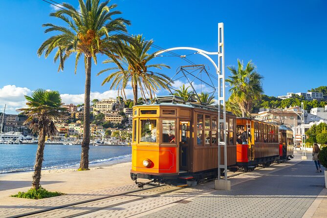 Palma de Mallorca and Valldemossa Excursion from Cruise Port - Price and Value: Is $71.08 Worth It on a Cruise Day?