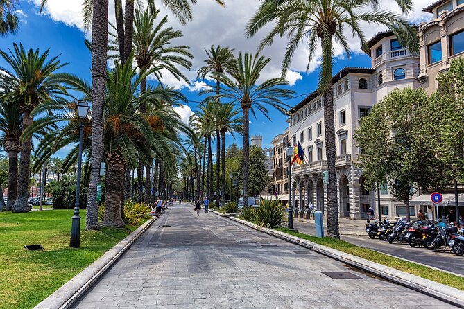 Palma de Mallorca and Valldemossa Excursion from Cruise Port - Who This Tour Fits Best (and Who Should Skip It)