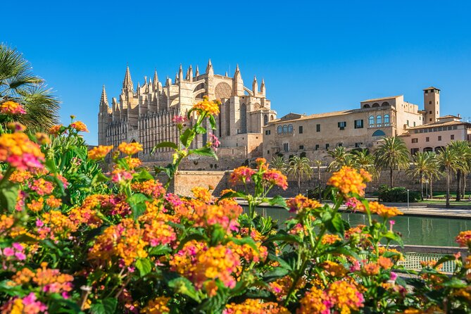 Palma de Mallorca and Valldemossa Excursion from Cruise Port - Valldemossa: Cobblestones, Mountain Air, and Chopin’s Footsteps
