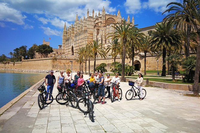Palma de Mallorca Bike Tour - City Hall, an Old Olive Tree, and the Streets You Actually Want
