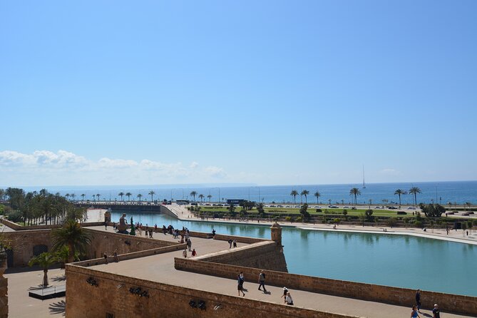 Palma de Mallorca Shore Excursion Bike Tour (Transfer Included) - How much does it cost, and is it good value?