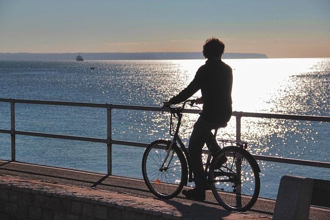 Palma de Mallorca Shore Excursion Bike Tour (Transfer Included) - Practical tips that make the whole day smoother