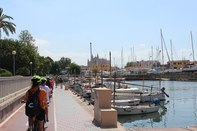 Palma de Mallorca Shore Excursion Bike Tour (Transfer Included) - Should you book this Palma shore bike tour?