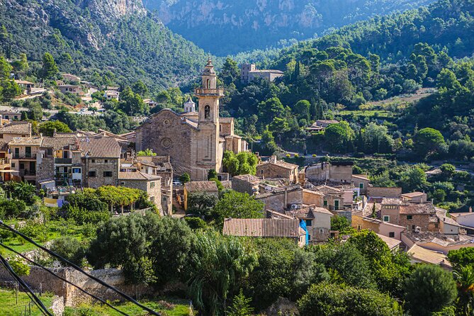 Palma de Mallorca Shore Excursion: Private Tour of Valldemossa, Soller and Serra de Tramuntana - Tickets, Food, and Timing: How to Plan Your Money