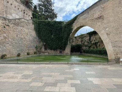 Palma Shore Excursion Bike Tour (Transfer Included) - Meeting Point and timing: how you avoid cruise-day stress