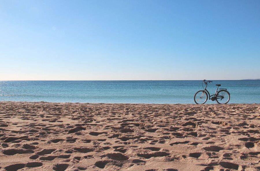 Palma Shore Excursion Bike Tour (Transfer Included) - The Palma route step-by-step: what each stop is for