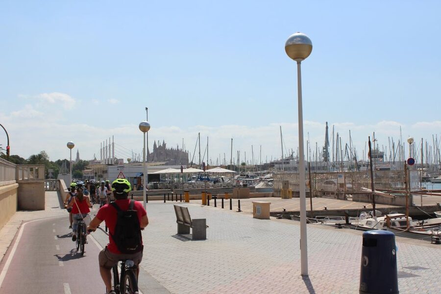 Palma Shore Excursion Bike Tour (Transfer Included) - Price and value: what $109 buys you on a cruise day