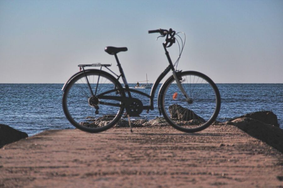 Palma Shore Excursion Bike Tour (Transfer Included) - Who should book this Palma bike tour (and who might not)
