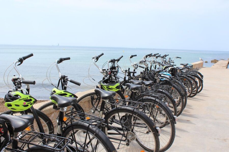 Palma Shore Excursion Bike Tour (Transfer Included) - Quick, practical tips to get the most from your ride