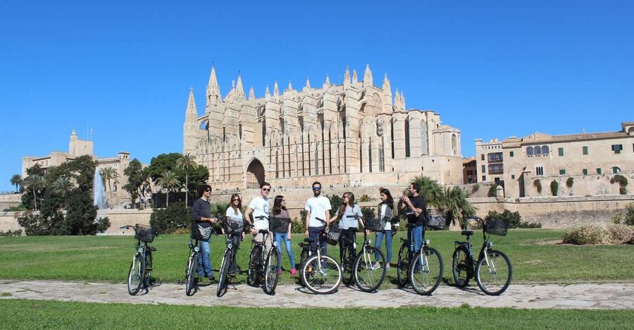 Palma Shore Excursion Bike Tour (Transfer Included) - Should you book this Palma Shore Excursion Bike Tour?