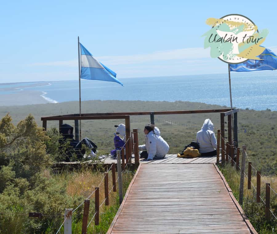 Peninsula Valdes: Shore excursion for cruise passengers - Meeting at Piedrabuena Pier: Simple, Direct, Cruise-Friendly