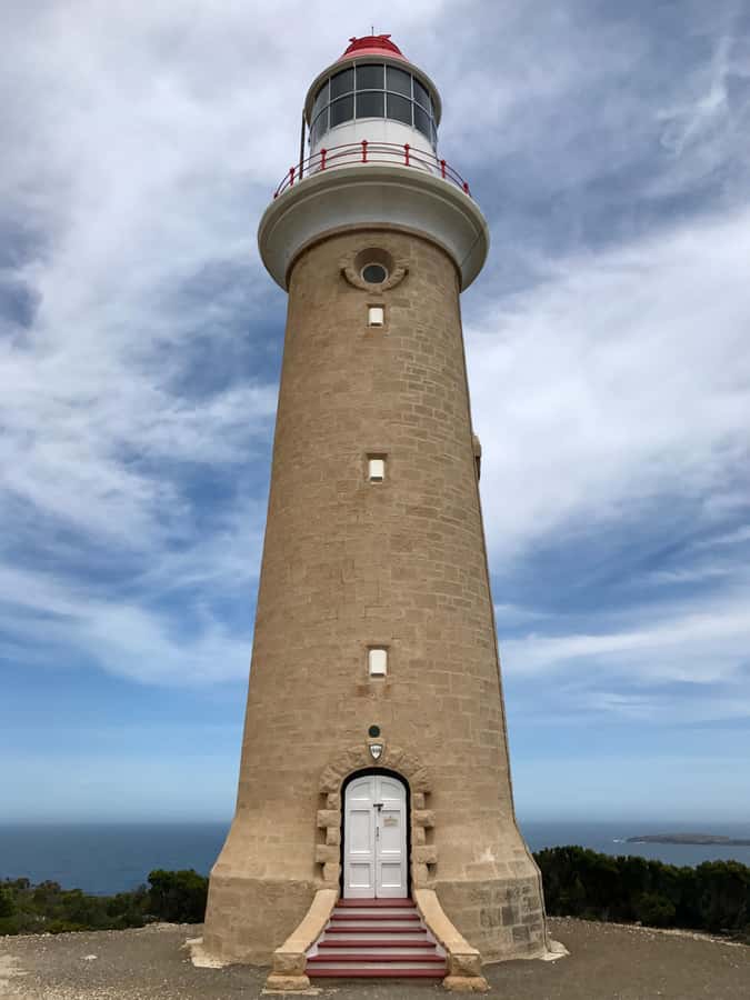 Penneshaw: Shore Excursion Kangaroo Island Scenic Tour - Key things that make this tour worth your time