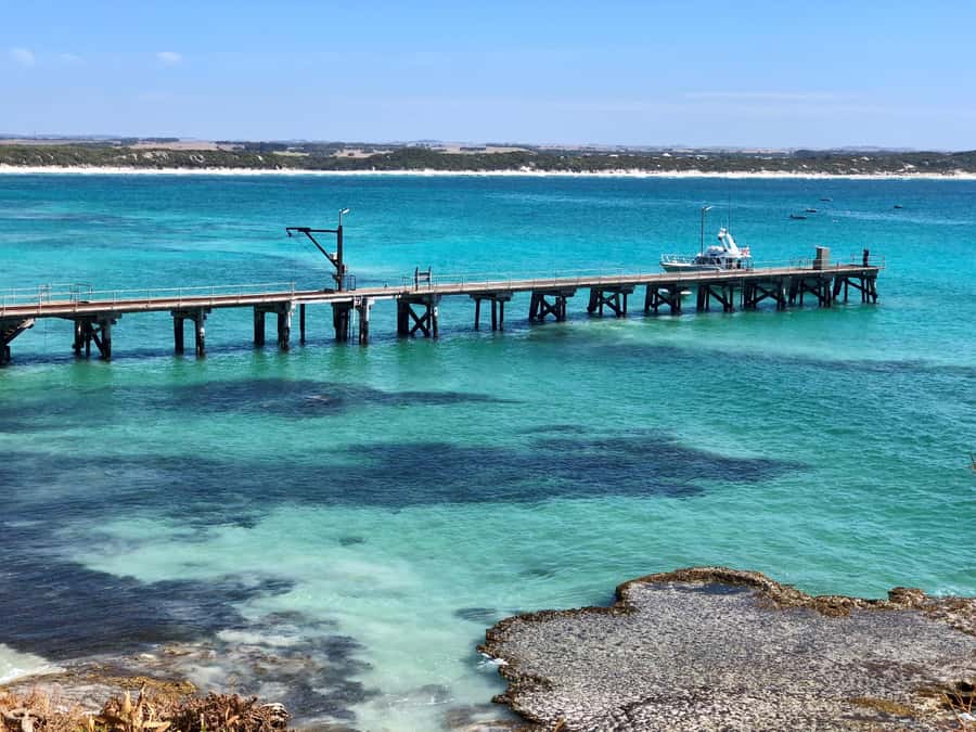 Penneshaw: Shore Excursion Kangaroo Island Scenic Tour - Guides and the vibe on the day