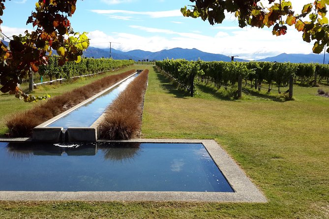Picton Cruise Ship Shore Excursion Marlborough Wine Tour - Price and value: is $155.14 per person a smart buy?