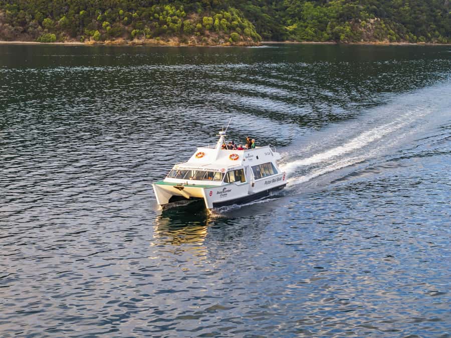 Picton Shore Excursion: Queen Charlotte Sounds Cruise - From Picton Waterfront to Queen Charlotte Sounds Fast
