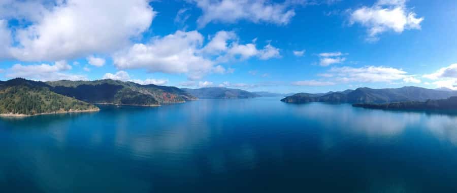 Picton Shore Excursion: Queen Charlotte Sounds Cruise - Should You Book the Queen Charlotte Sounds Cruise from Picton?
