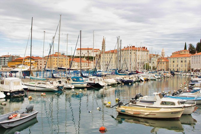 Piran & Panoramic Slovenian Coast - Shore Excursion from Trieste - Key Points at a Glance