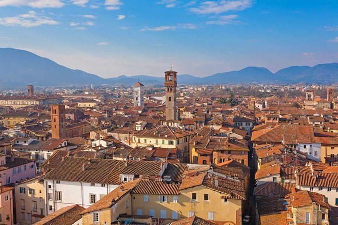 Pisa, Lucca and wine experience Private Shore Excursion from La Spezia port - Pisa and Lucca by Private Minivan: The Real Value