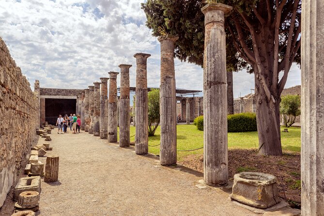 Pompeii and Herculaneum small group Excursion from Naples - Skip-the-line Pompeii Express: what it means in the real world