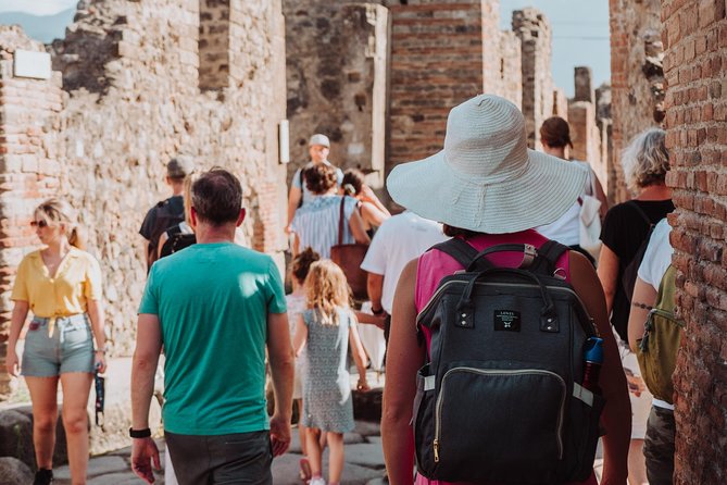 Pompeii and Herculaneum small group Excursion from Naples - Is the $173.27 price fair for two major ruins?