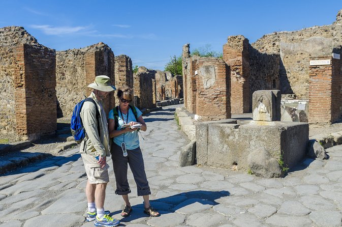 Pompeii and Vesuvius Full Day Private Shore Excursion - Pompeii stop-by-stop: what each place is really showing you