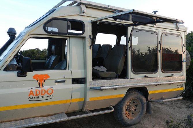 Port Elizabeth Shore Excursion: Addo Elephant Full Day Safari &"Braai"Lunch(BBQ) - Lunch Inside Addo: The Braai Meal Is More Than a Break