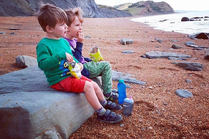 Portland Shore Excursion to Jurassic Coast Highlights - Is $84.11 Good Value for This Jurassic Coast Day?