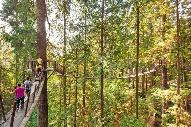 Post-Cruise Shore Excursion: Capilano Suspension Bridge & Grouse Mountain - Stop 1: Capilano Salmon Hatchery (and how to spot salmon chances)