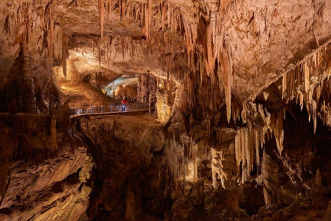 Postojna Cave & Predjama Castle - Shore Excursion from Trieste - Trieste-to-Slovenia pickup: where the day starts (and what to pack)