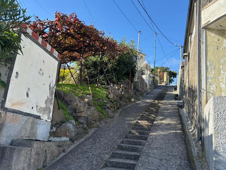 Private 4x4 Shore Excursion: Madeira Culture & Trails 4-6H - Poncha at a local bar: the step-by-step that makes it real