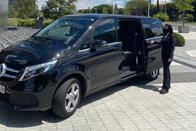 Private 8-hour Shore Excursion from Civitavecchia to Rome - Cruise port pick up - How the guide makes (or breaks) a day like this