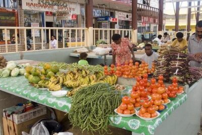 Private Denarau Shore Excursion - Temple, Shopping, Market, Garden & Mud Pool - Sri Siva Subramaniya Swami Temple: Big Beliefs, Easy Arrival
