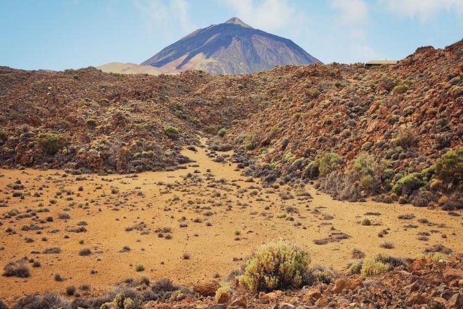Private Excursions For Cruise Ship Passengers - El Portillo Visitor Centre: free Teide context before you go higher