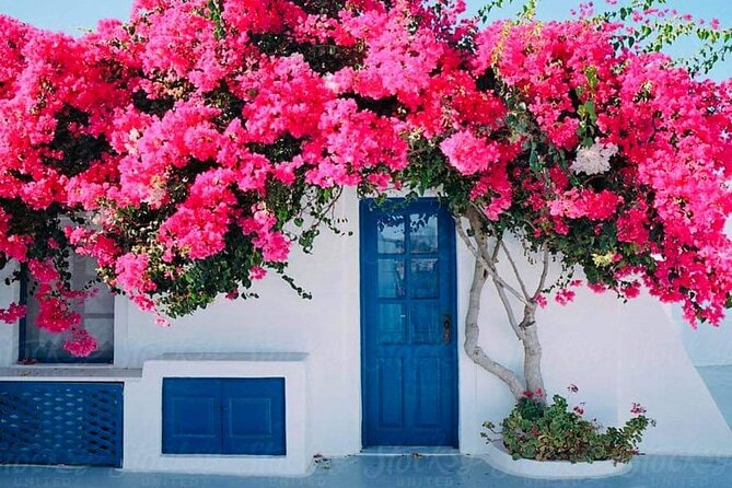 Private Full Day Rhodes Island Tour from Cruise Port - Haraki at Kostas and Eleni: Seafood With a Family Stamp