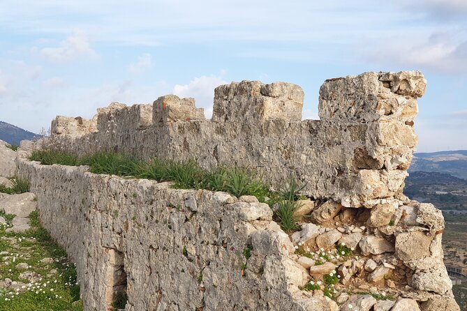 Private Full Day Rhodes Island Tour from Cruise Port - Rhodes Old Town UNESCO Circuit in One Hour