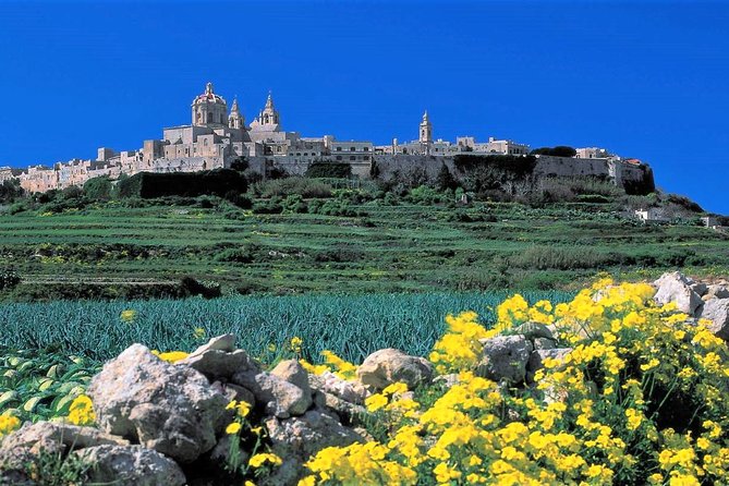 Private guided Malta shore excursion with a professional guide and transport - Entering Malta through Valletta City Gate
